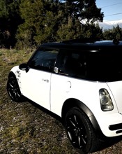 K75472 Gold-White Starlight VWS IV - 4.jpg