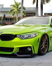 K75454 Dynamic Lime 3