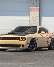 K75457 Desert Storm Gloss